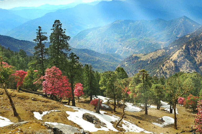 Almora Tourism and Travel Guide