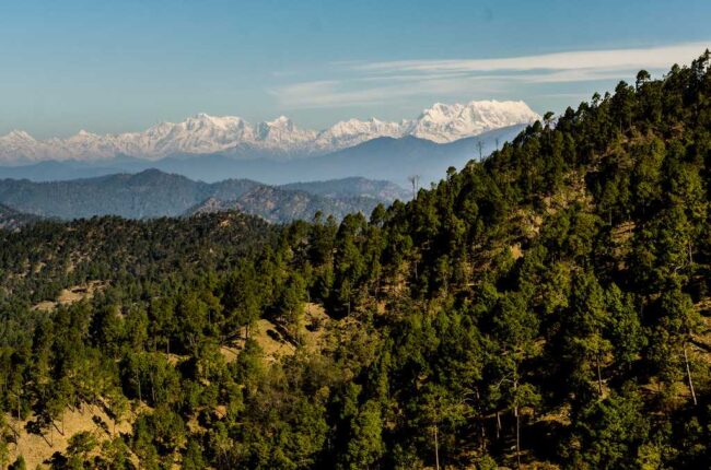 Binsar Tourism and Travel Guide Binsar Tourism and Travel Guide