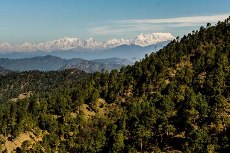 Binsar Tourism and Travel Guide