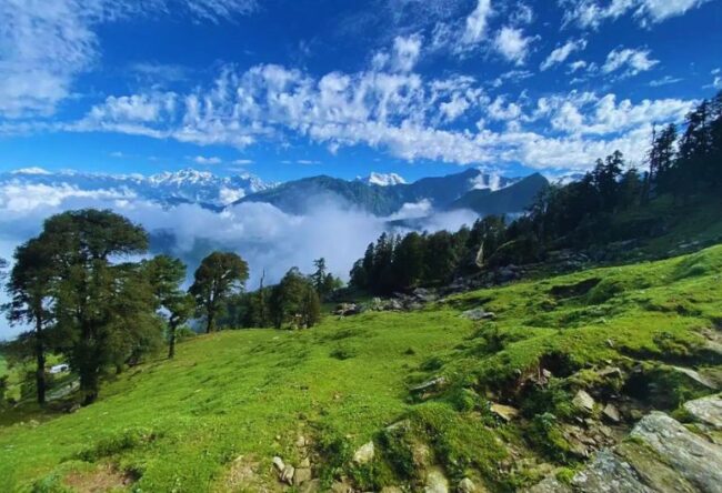 Chopta Travel and Tourism Guide Chopta Travel and Tourism Guide