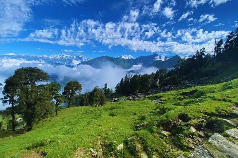 Chopta Travel and Tourism Guide