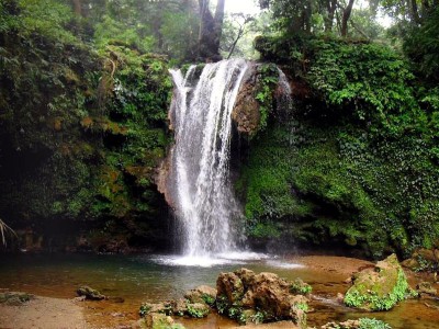 Ramnagar Travel and Tourist Places