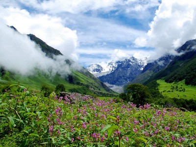 Valley of Flowers Travel and Tourist Places